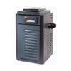 Raypak 332,500 BTU Millivolt Natural Gas Heater (Mfr Part PR336AMN)