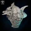 Resin cast fantasy bust