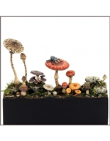 BM0006 Mushrooms, 54mm, 25 resin pieces, sculpted by Stephane Camosseto, box art painted by Matthieu Roueche