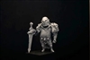 Resin cast fantasy full figure. Approximate height 65mm