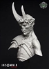 Resin cast fantasy bust. Approximately 67mm