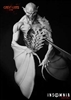 Resin cast fantasy bust. 60 x 70mm