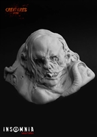 Resin cast fantasy bust. Height 45mm