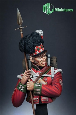 79th Cameron Highlander