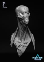 Resin cast fantasy bust. Approximate height 80mm