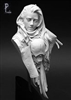 Resin cast fantasy bust. Approximate height 107mm