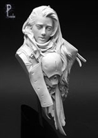 Resin cast fantasy bust. Approximate height 107mm