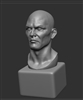 1/6 scale head. 3D sculpt by James Rice. A great subject for practicing your face painting.