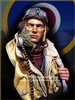 YM1891-Battle of Britain RAF Pilot WWII, 1/10 scale resin bust, 11 pieces, sculpted and painted by Young B Song
