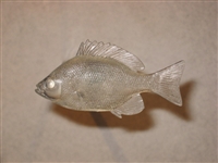 Bluegill/Bream, 4 1/4" Will work for most sunfish species