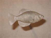 Crappie (Black or White Crappie), 4 3/8"