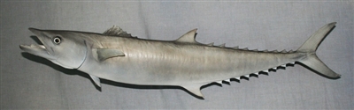 Mackerel, King (Kingfish) 34" (TA) L