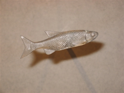 Shiner minnow, 4" - Will work for many minnow species.