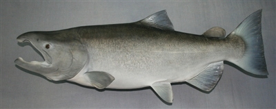 Salmon, King 44" (TA) L