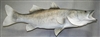 Snook 44" (TA) R