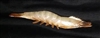 Shrimp, Straight/Crawling - 5 1/2" - Painted