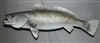 Trout, Speckled Sea 24" (RA) L