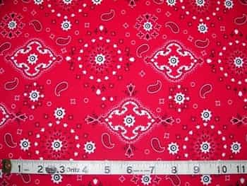 Dirty Girl Gaiters : DIRTY RED BANDANA