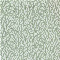 2513185-01 Ornamental Grasses Sage