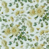 2513190-01 Charlotte Primrose