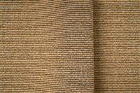 54060-45 Resia 118" FR Abricot
