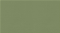 640-4338 Coast  Stem Green G05