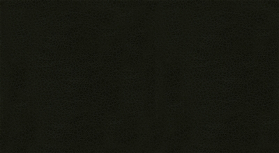 733-60983 Impasto Black Spinel