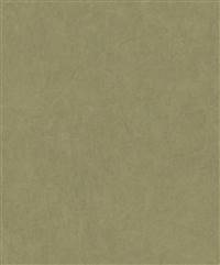 COTTON TOUCH VERT OLIVE 8238-7749
