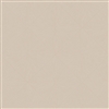 PERCEPTION  TAUPE 8513-1516