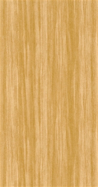 NICARAGUA EUCALYPTUS MIEL 8598-2323