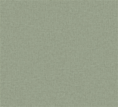 LEATHER MAROQUINERIE VERT OLIVE 8714-7201