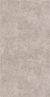 LEATHER WESTERN GRIS PERLE 8717-9202