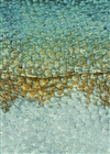 LEATHER SCALES LICHEN 8720-7122