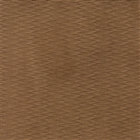 Absolute Fango
