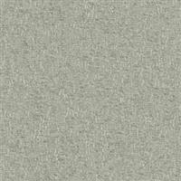 Brava-801 Thyme