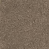 Brava-810 Brownie
