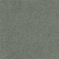 Brava-822 Sycamore