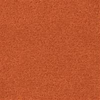 Brava-826 Pumpkin