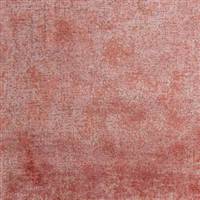 Brossa-645 Carnation