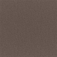 Bruno-254 Truffle