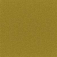 Bruno-841 Citrus