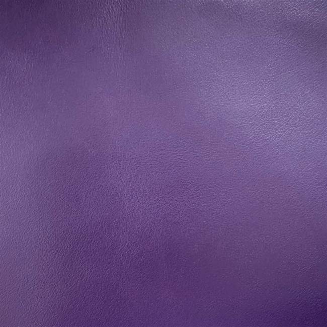 Elegance Viola