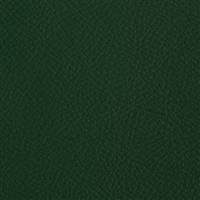 FP-09-12737 Spinning Fr