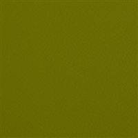 FP-09-13259 Spinning Fr