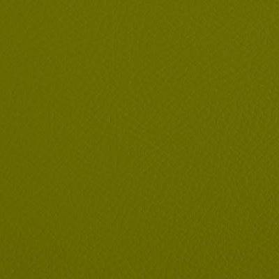 FP-09-13259