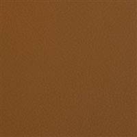 FP-09-13646 Spinning Fr
