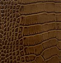 Jacare Biscuit