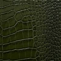 Jacare Olive