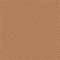 NF-264-06 Boucle Poly FR