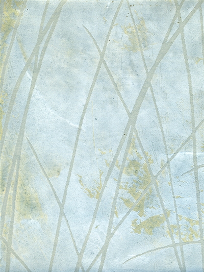 Rc-8649 Shadow Grass Pale Blue, Iridescent Gold